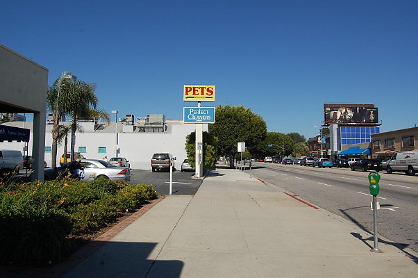 DSC 0341