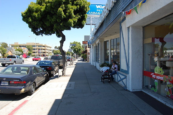 DSC 0006
