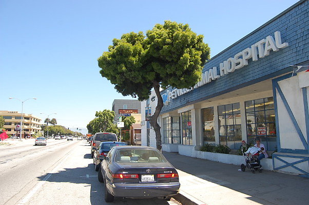 DSC 0003