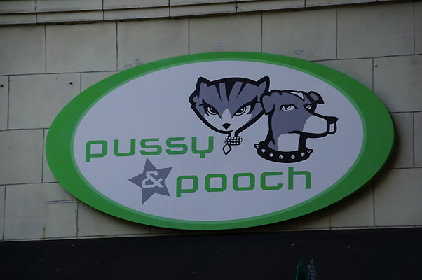 Pussy.Pooch.Pets.DTLA