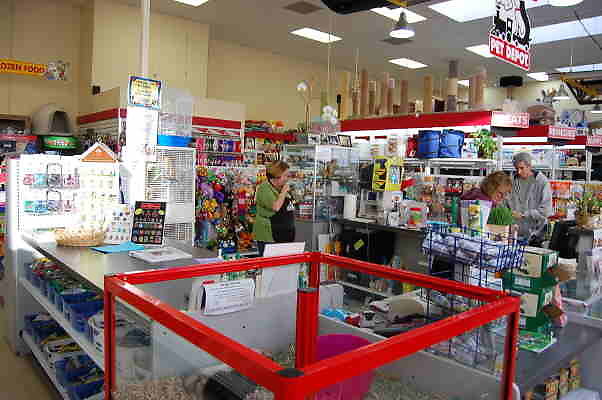 DSC 0665