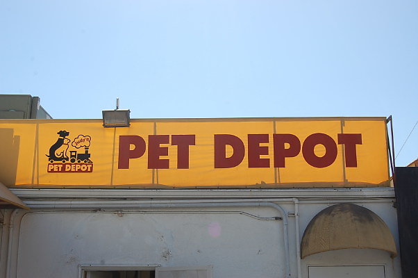 Judys Pet Depot.Westwood