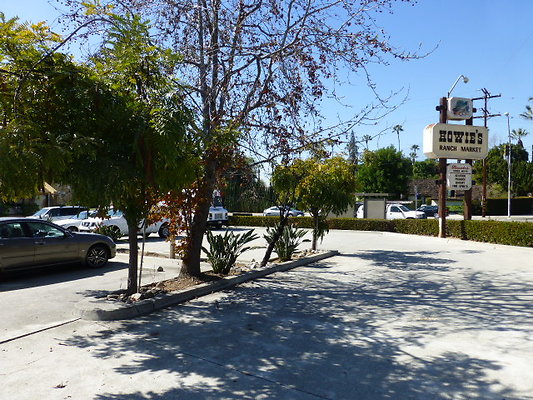 P1170517