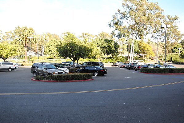 DSC 0409