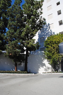 DSC 0365