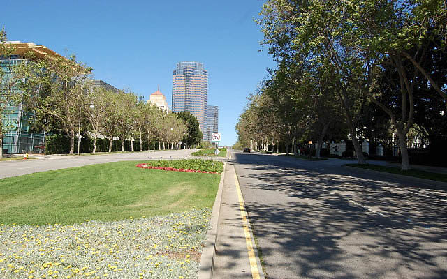 DSC 0003