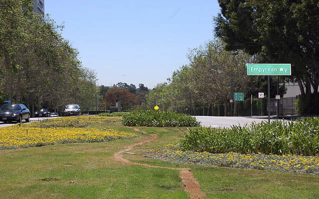 DSC 0182