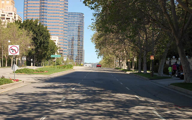 DSC 0001