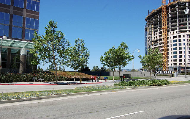 DSC 0188