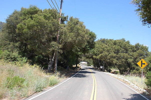 DSC 0177