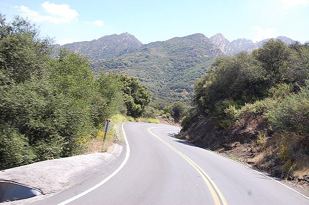 DSC 0171