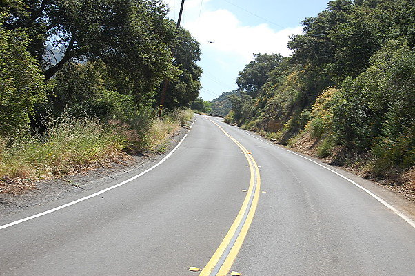 DSC 0079