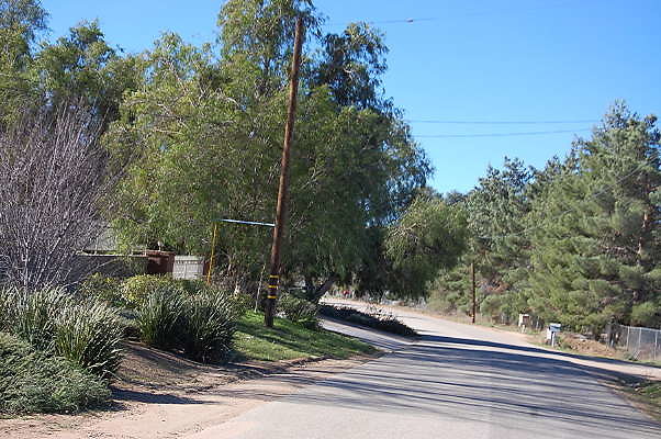 DSC 0161