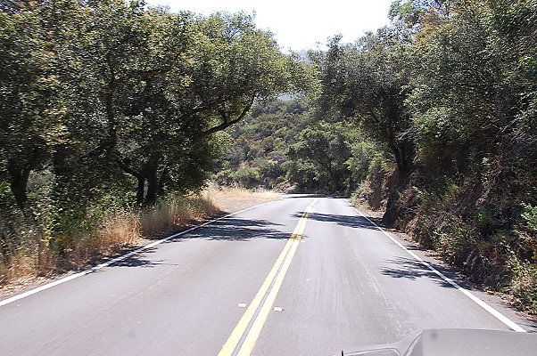 DSC 0170