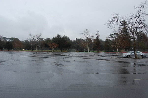 DSC 0037