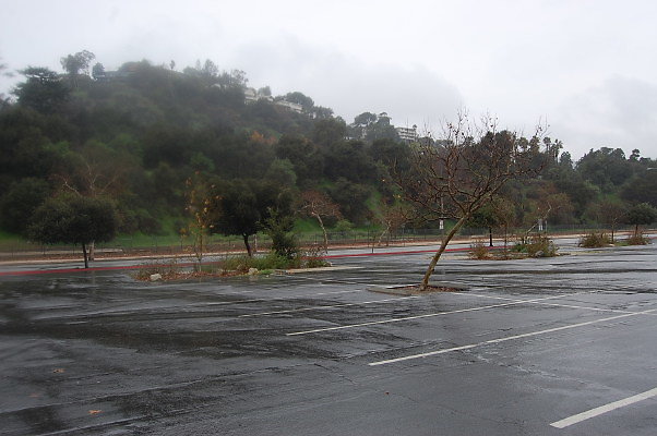 DSC 0045