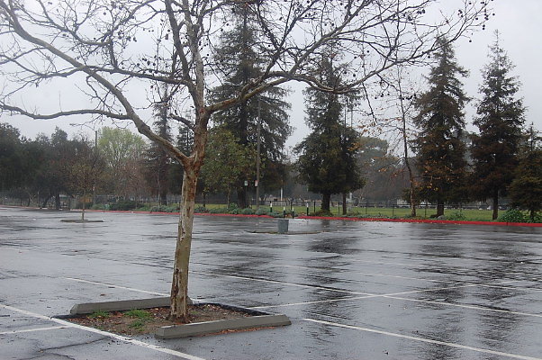 DSC 0050