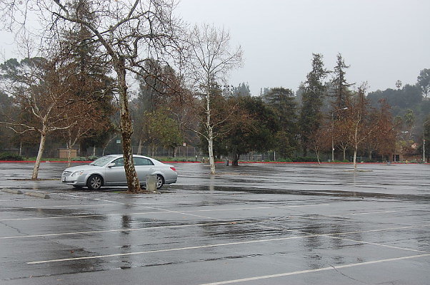 DSC 0041