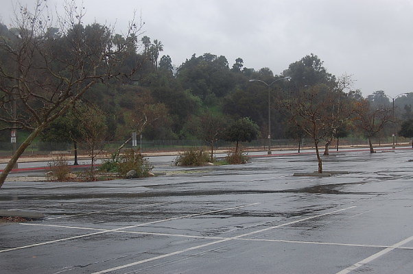 DSC 0048