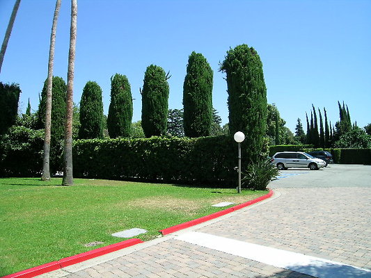 DSCN9072