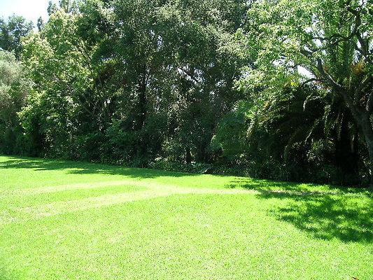 DSCN9064