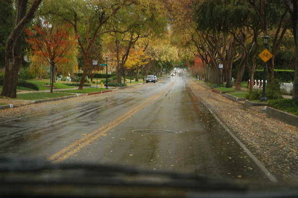 LindaVista 016