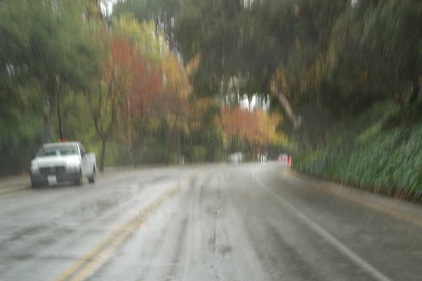 LindaVista 038
