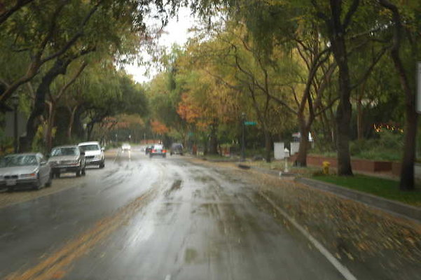 LindaVista 029