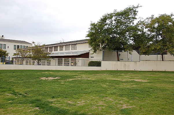 DSC 0318