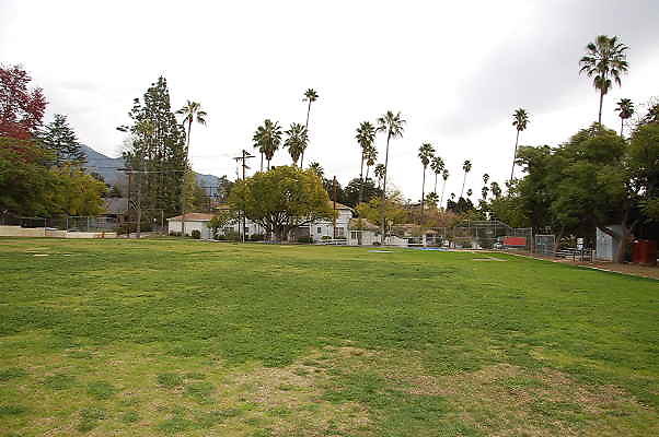 DSC 0410