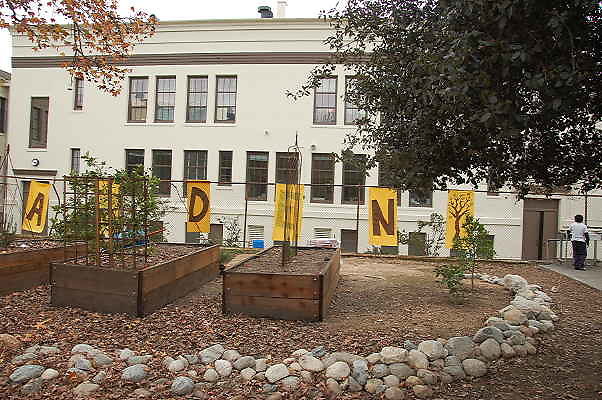 DSC 0282