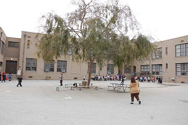 DSC 0184