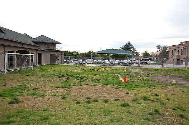 DSC 0246
