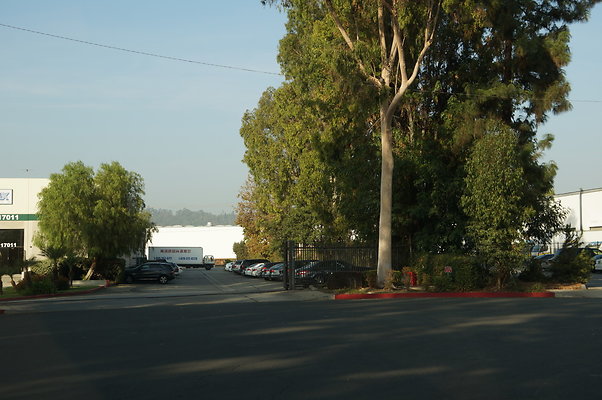 DSC04785