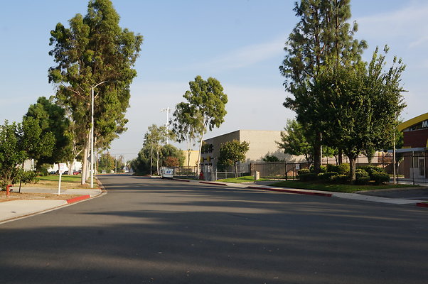 DSC04767