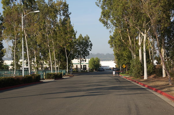 DSC04781