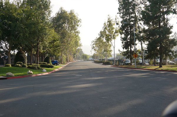 DSC04769