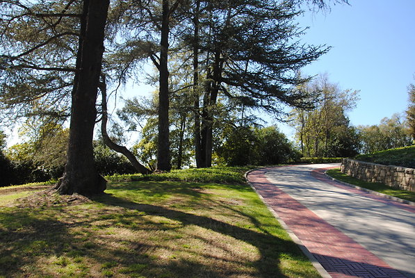DSC 0112