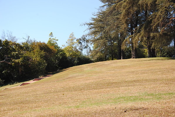 DSC 0103