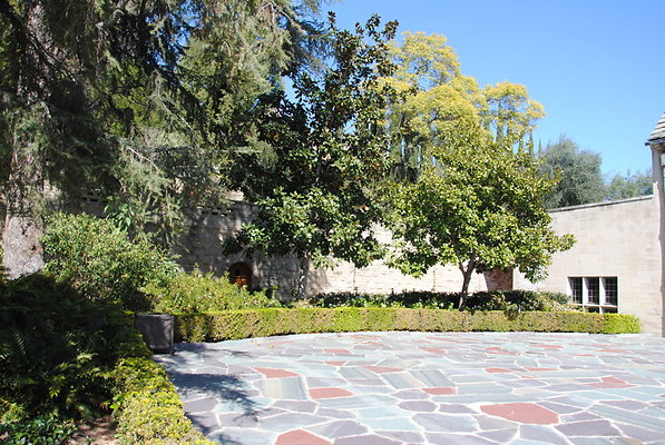 DSC 0059