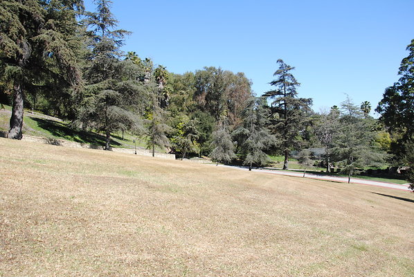 DSC 0077
