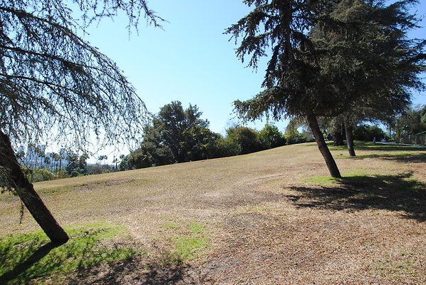 DSC 0105