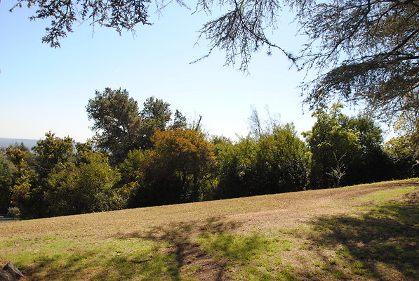 DSC 0111