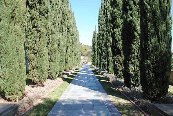 DSC 0113