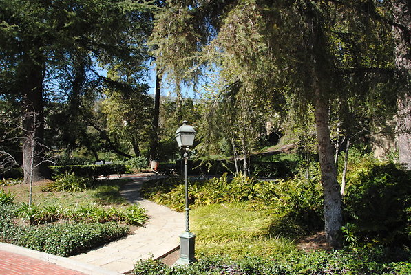 DSC 0064