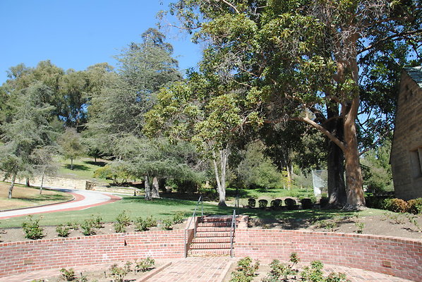 DSC 0097