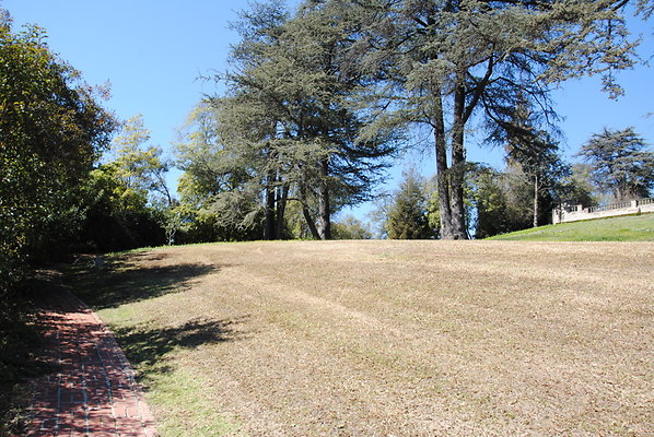DSC 0075