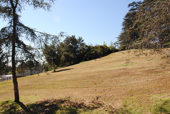 DSC 0101