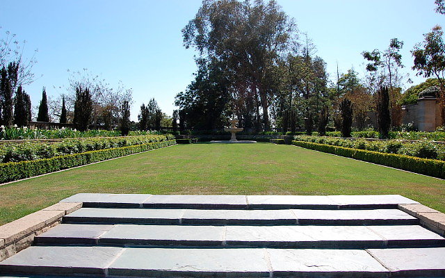 DSC 0100