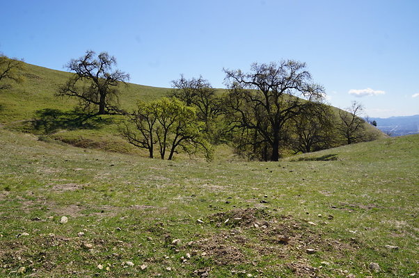 MCRA.Joglin.Ranch.48